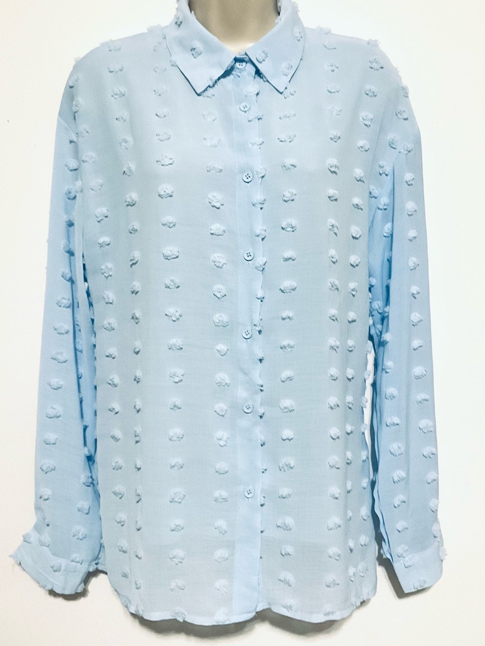 Boutique top Light Blue Swiss Dot Button-Up Blouse